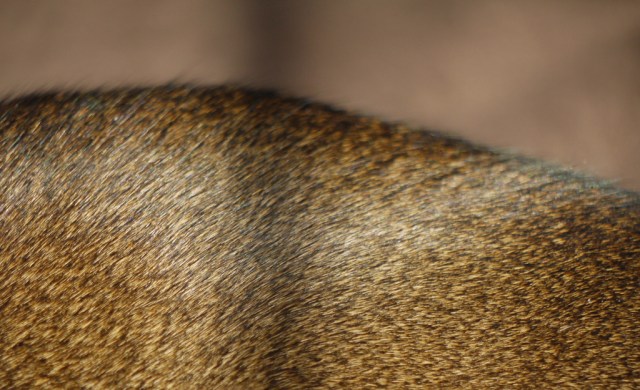 6903218919_7dd77e6883_b