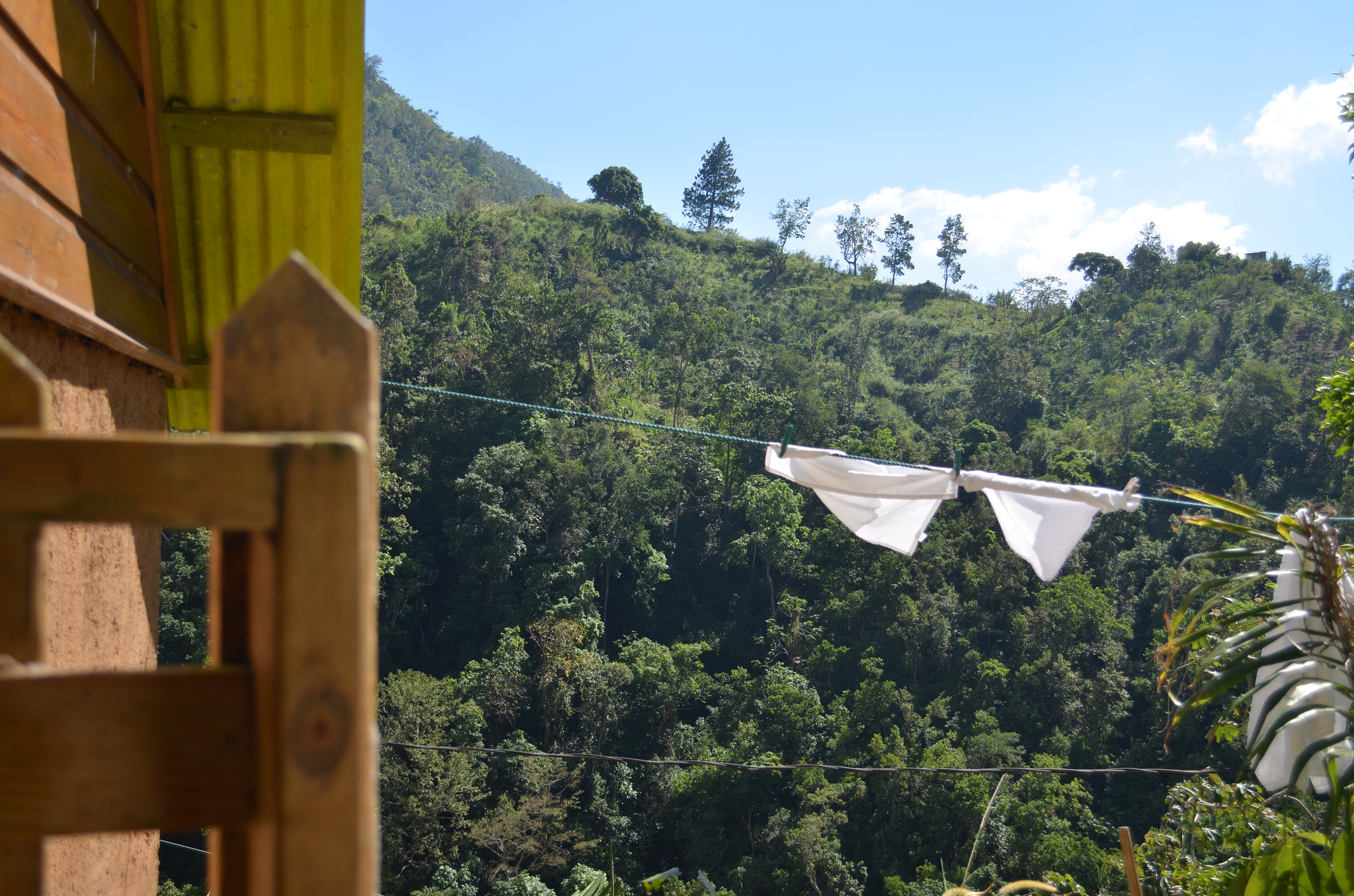 8444474316_e5210900e0_k