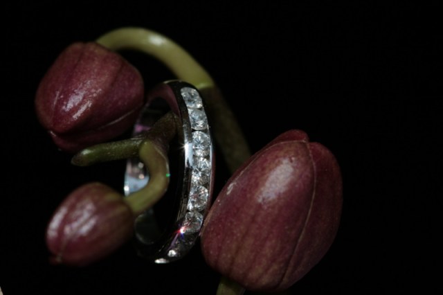 3977237190_979d2aa10a_o