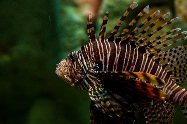 4570827076_2e937ce698_b