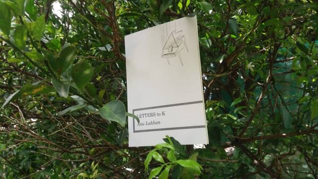 WhatsApp Image 2019-02-27 at 11.57.39 AM